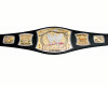 champ belt