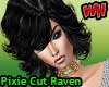 Pixie Cut Hair Raven