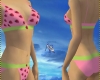 Strawberry Bikini Set