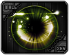 xes� Lucid | Hazel M