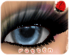 `r Top Lashes | Swanky