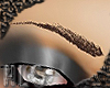 Product Image for HLS|FeatherBrows|BROWN