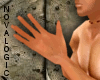 [D] Perfect Hands