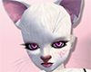 White Innocent Furry Ear