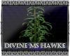 {H}DH ReflectBambooPlant