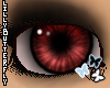 [L] Red i-Raver
