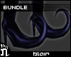 (N)Blair Bundle