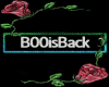 BooIsBack fade