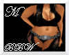 BBW Chaps N Top