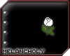 Li'l Roses: White