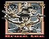 Bruce Lee DRAGONS!!!