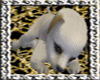 Baby *Dog*