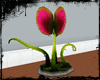 (NZL) Scientist V1Sc