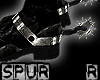 DC Silver Spur: RIGHT