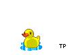 Ducky