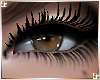 http://userimages03-akm.imvu.com/productdata/images_b3af2abb65e7dd31017fe17cce7693bb.png