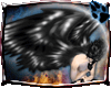 [Ko] AngelWings Noir