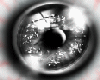 t| Grey LifeSaver Eyes F