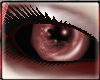 [A] Tempt Eyes Cherry