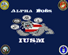 IUSM Helmet 2 M