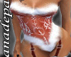 [A&P]santa body ap