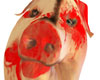 pighead