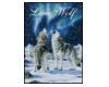 Wolves in Snow