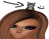 Little Cat