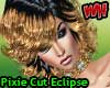 Pixie Cut Hair Eclipse