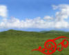 Summer Field