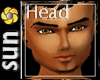 ~S~TJ's Head