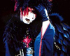 Kyo Wings