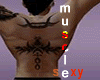 skin (muscle body)