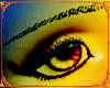 Eyebrows(True N Black)