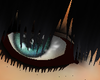 oculos