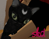 (SK) Celestial Snuggles