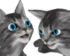 Head Kitty (Any Size)