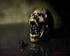 (Law) Gold HadesLox