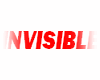 CORP INVISIBLE