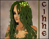 ~C~Fairy Green Orchid
