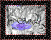 Product Image for Blue Corn Sticker
