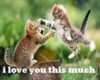 Pussy Love