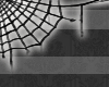 |Spider Web|