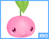 [R] Pinkberrie
