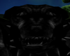 Monster Dog