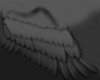 Black wings