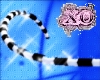 [Xo]*Forbidden Tail*