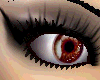 Scorpio Eyes