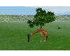 green farm