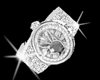 PLAYBOY ICED DOWN WATCH